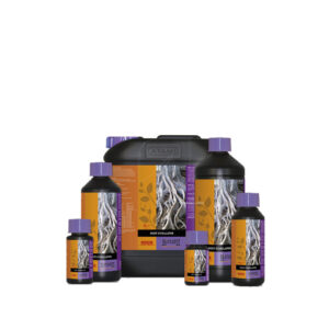 Estimulador radicular 100 ml b´cuzz