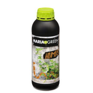 Humus 1 l maria green