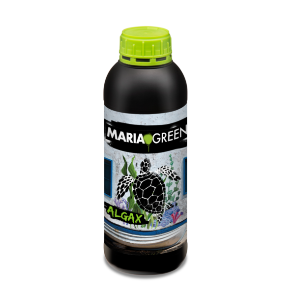 Algas marinas 250 ml maria green - Imagen 3