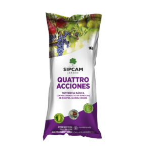 Quattro acciones sipcam