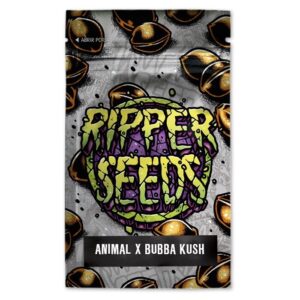 Animal cookies x bubba kush (3) ripper seeds