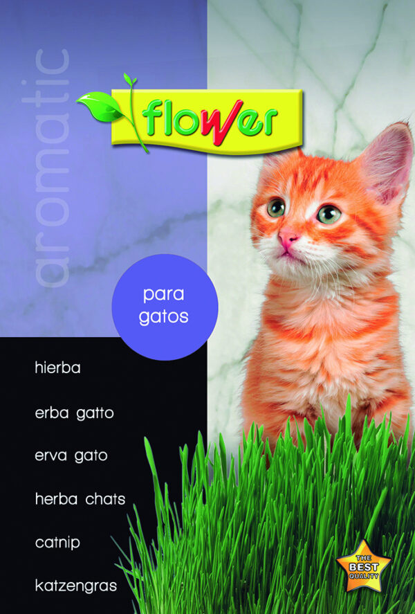 Hierba para gatos