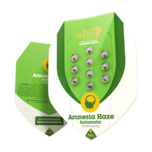 Amnesia haze auto (1) royal queen seeds