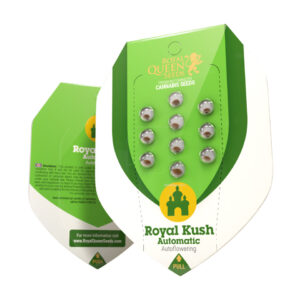 Royal kush auto (1) royal queen seeds