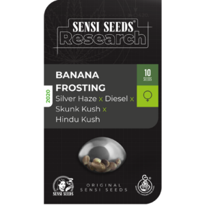 Banana frosting (1) sensi seeds