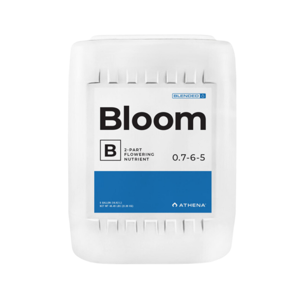 Bloom b 3,78l athena - Imagen 2
