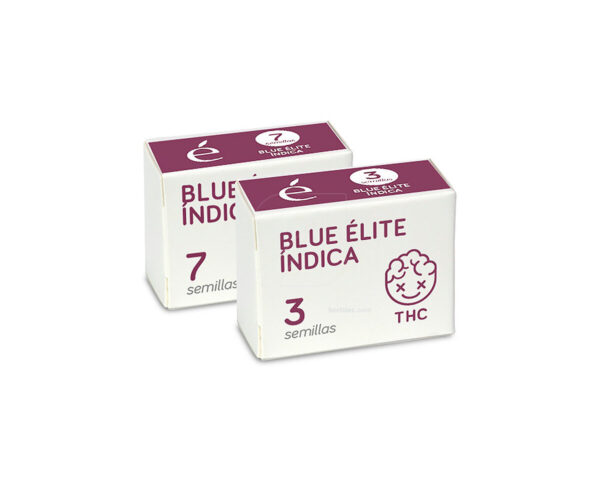 Blue elite indica (3) 100% premium line elite seeds