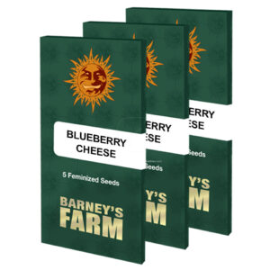 Blue cheese (5) 100% barney's farm seeds