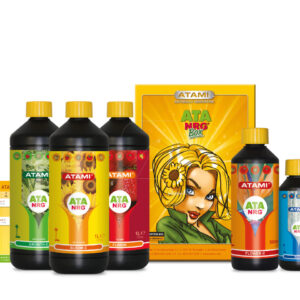 Box ata nrg