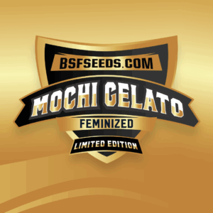 Gelato mochi *le - x2