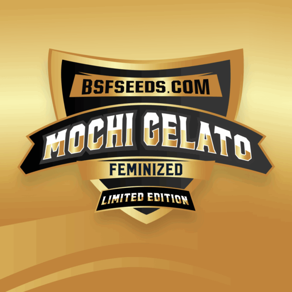 Gelato mochi *le - x2