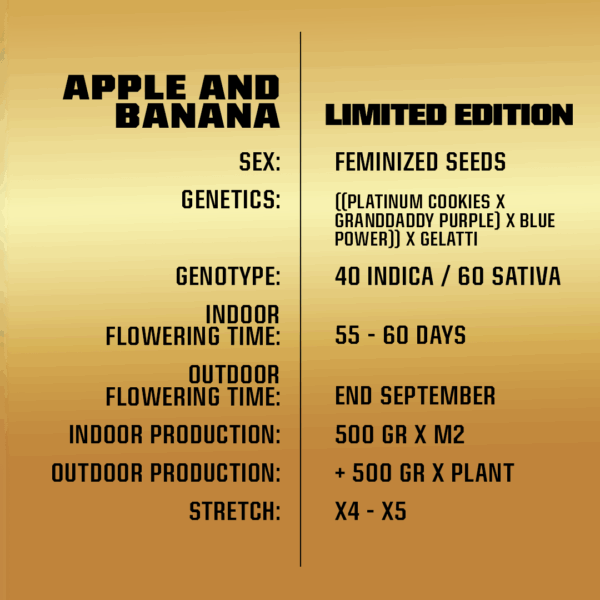 Apple and banana *le- x2 - Imagen 3