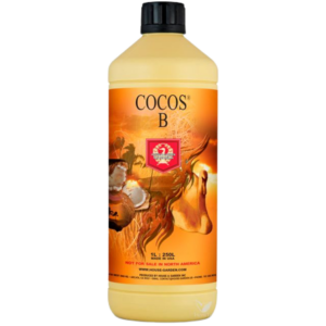 Coco b 1 l  h&g