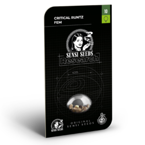 Critical runtz   (1)  100% sensi seeds