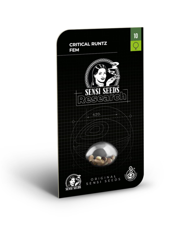 Critical runtz   (1)  100% sensi seeds