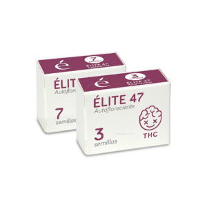 Elite 47 (3) 100% auto line elite seeds