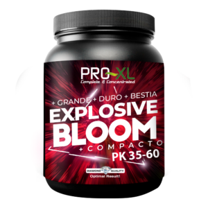 Explosive bloom 250 gr pro-xl