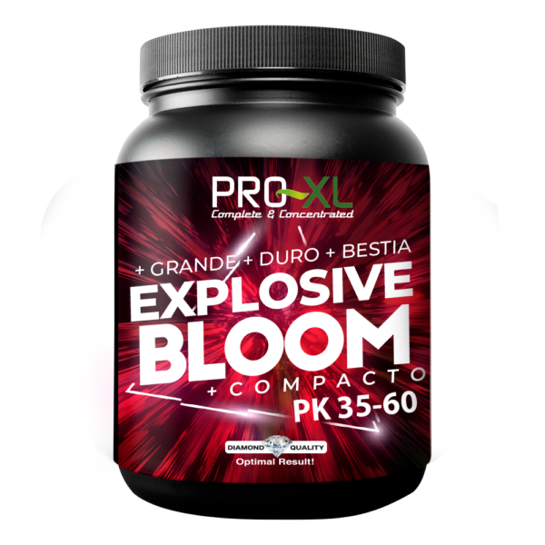 Explosive bloom 250 gr pro-xl