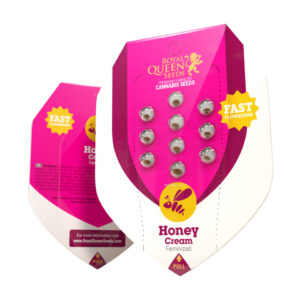 Honey cream (1) fast flowering royal queen seeds
