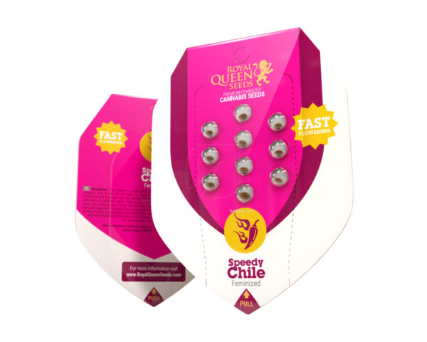 Speedy chile (1) fast flowering royal queen seeds