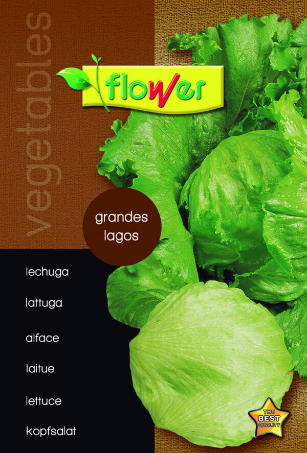 Lechuga grandes lagos