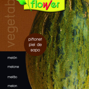 Melón piñonet piel de sapo (10uds)