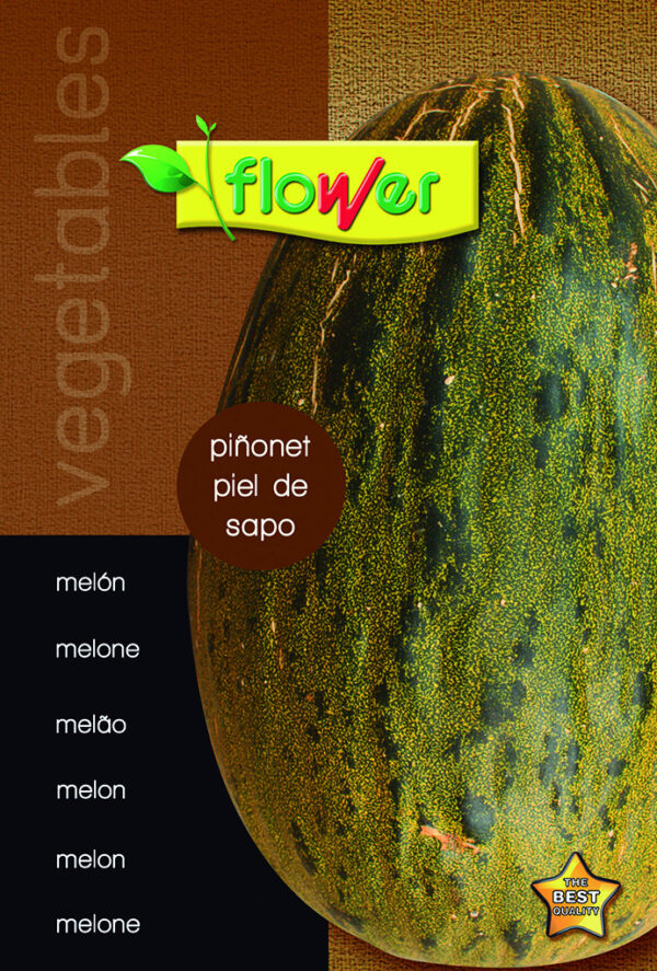 Melón piñonet piel de sapo (10uds)