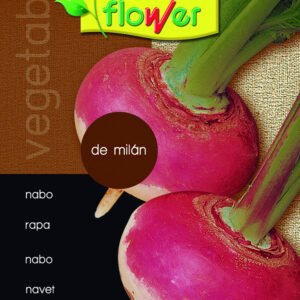 Nabo de milán