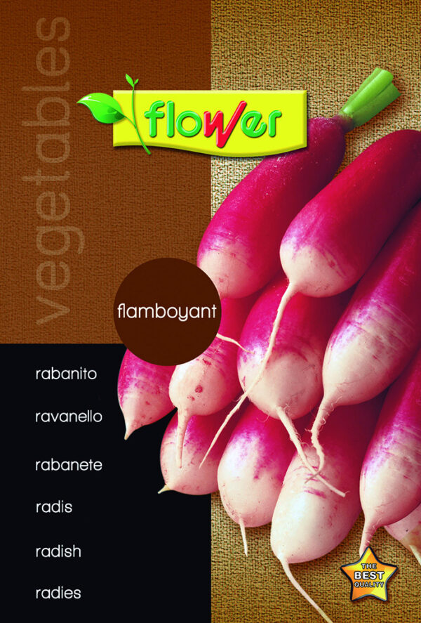 Rabanito flamboyant 3 (10uds)