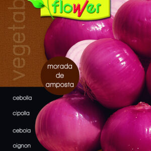Cebolla morada de amposta