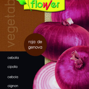Cebolla de figueres (10uds)