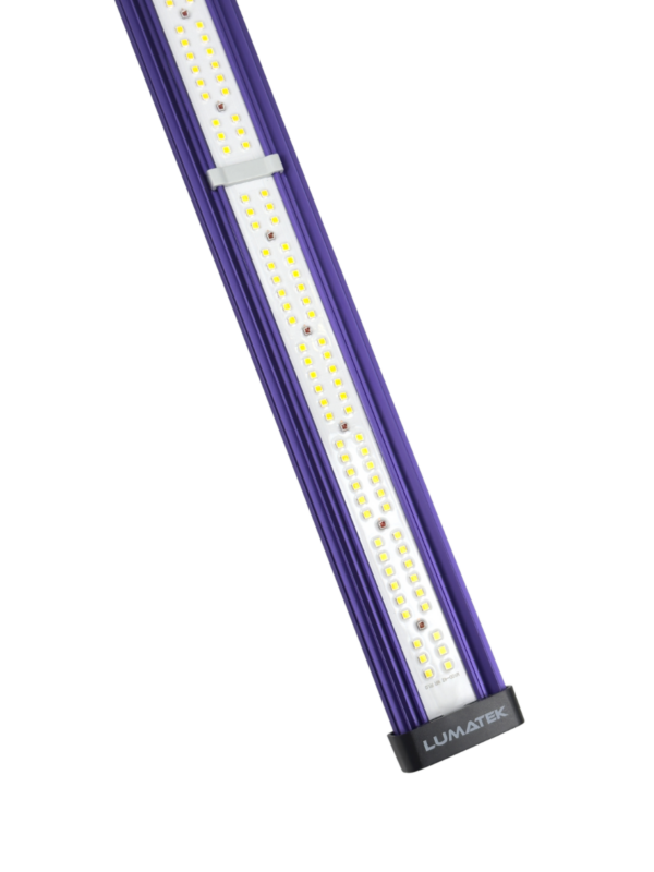 Full spectrum led 100 w pro 2.9 lumatek - Imagen 2