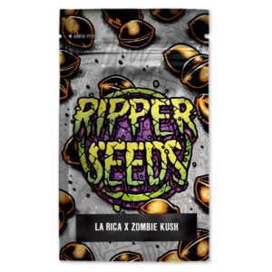 La rica x zombie kush (3) ripper seeds