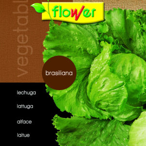 Lechuga brasiliana