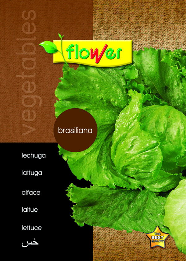 Lechuga brasiliana