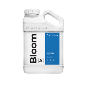 Bloom a 3,78l athena