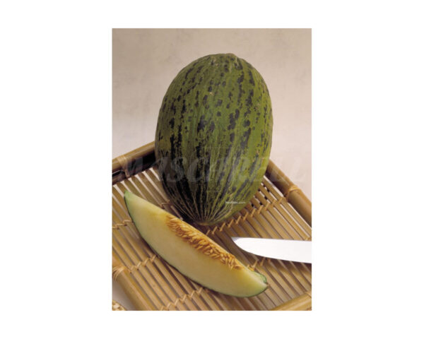 Melon piel de sapo (10uds)