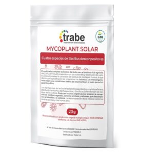 Microplant solar 20 g trabe