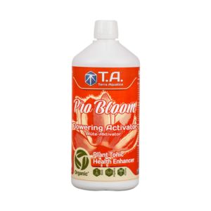 G.h bloom 30 ml ghe