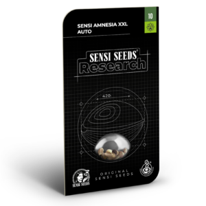 Sensi amnesia xxl auto (1) sensi seeds