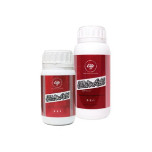 Silicic acid 500ml elite 91