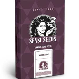 Tngerine sugar  (1) 100%  sensi seeds