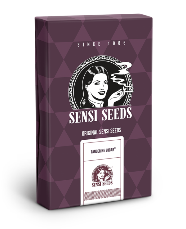 Tngerine sugar  (1) 100%  sensi seeds