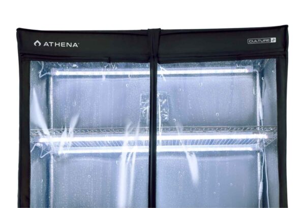 Vp dome athena - Imagen 2