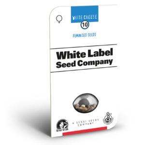 White cheese  (1) 100% sensi seeds