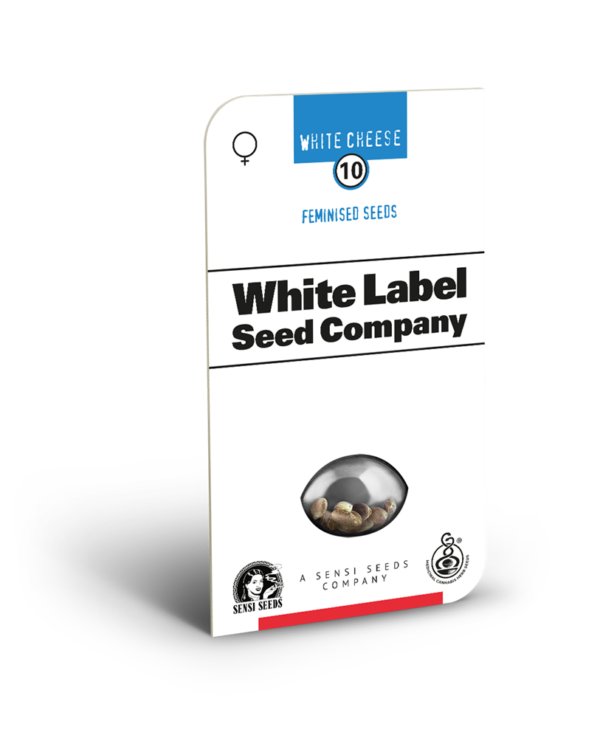 White cheese  (1) 100% sensi seeds