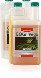 Cogr vega a 1 l canna