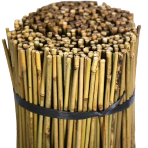 Tutor bambu 1,05 m (500 uds) 8/10 mm