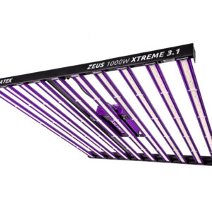 Sistema led zeus 1000 w extreme 3.1 lumatek