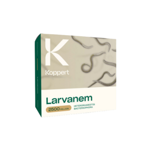 Larvanem 500 millones (heterorhabditis bacterophora) koppert